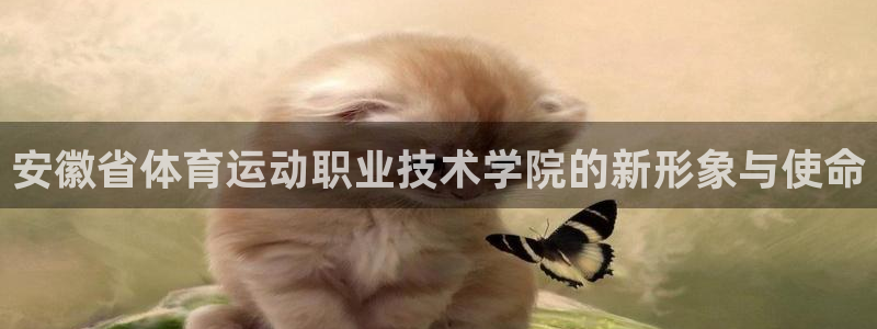 球客岛