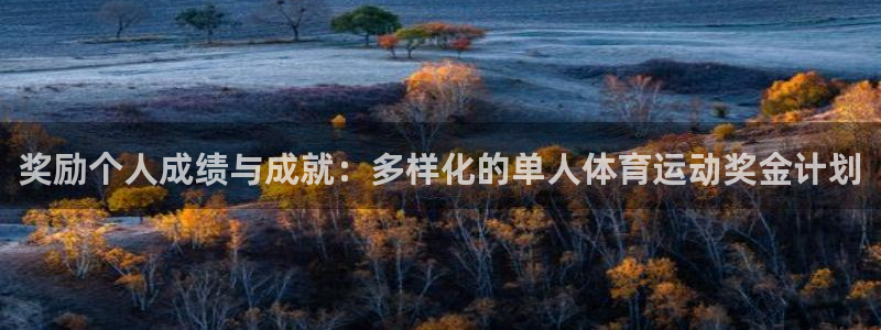 球客岛