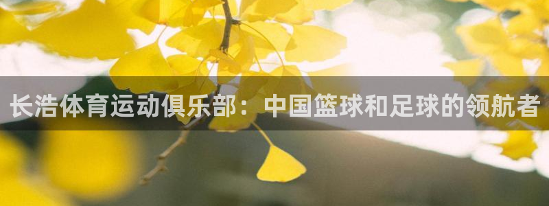 球客岛